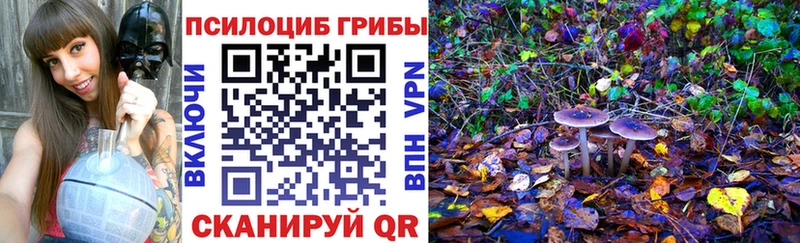 кракен зеркало  Острогожск  Галлюциногенные грибы Cubensis 